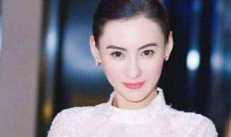 张柏芝被爆料住院了吗视频,真相揭秘与网友热议